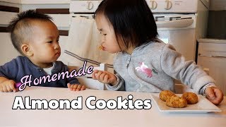 Chewy Almond Cookies  Glutenfree Eggfree Dairyfree [upl. by Emelita]