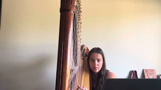 Enchanted Taylor Swift Harp [upl. by Elicia]