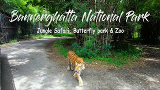 BANNERGHATTA NATIONAL PARK Jungle Safari amp Zoo  Butterfly Park  Bangalore vlog  Must visit places [upl. by Sessylu]