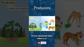 Producers  Produce Food  Food Chain  Producers Consumers  Plants  Science shorts [upl. by Allare]