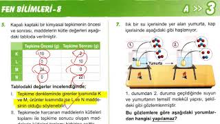 8 Sınıf LGS Okyanus Yayınları Fen Sorularının Çözümü [upl. by Izmar]