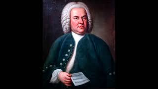 Bach  Brandenburg Concerto No 3 1st Movement Edit [upl. by Misak]