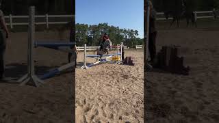 Chico Schorfheide 2024horse foryou equestrian riding jumping horseriding pony [upl. by Acisej]