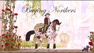 Star Stable Online  Buying the new Noriker [upl. by Waldos]