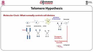 Basics of mammalian cell culture techniques [upl. by Adnowal]