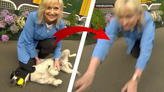 Carol Kirkwood pulled over by dog on live TV Again [upl. by Nehr130]