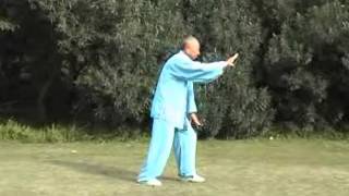 吳式太極拳 Taijiquan style Wu Master Fei Guo Qing Shanghai [upl. by Harbard374]