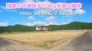 Hitec XK DHC2 A600～強風の中頑張る100g未満の機体 [upl. by Faina808]