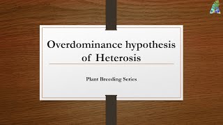 Overdominance Hypothesis of Heterosis [upl. by Nylarad478]