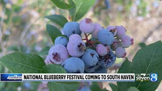 National Blueberry Festival coming to South Haven [upl. by Currey]