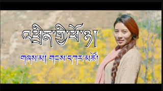 New Tibetan song 2017 by Gangkar Tso འཕྲིན་གྱི་ཕོ་ཉ། [upl. by Rod]