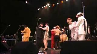 AfroCuban All Stars Live in Japan [upl. by Jolynn]