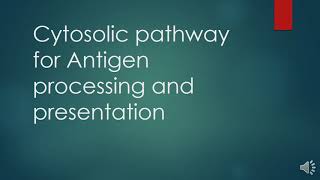 Cytosolic pathway of antigen processing and presentation All the steps with Questions and Answers [upl. by Erdnaet]