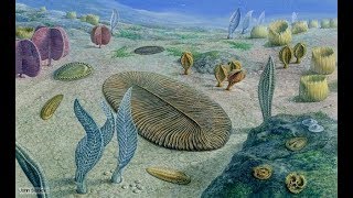 The Cambrian Explosion Pt 1 [upl. by Ruggiero]