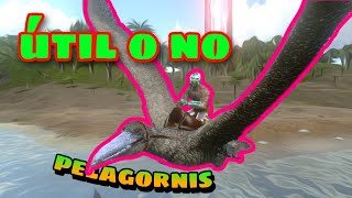 pelagornis farmea polímero contras y pros usos y un truco ark mobile [upl. by Alard310]