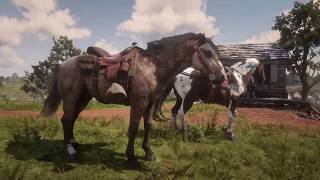 Red Dead Redemption 2  Freeroam riding Norfolk Roadster  Dappled Buckskin and Spotted Tricolor [upl. by Coltun341]