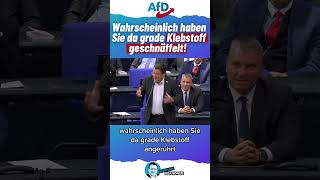 Brandner bringt alle zum Lachen afd deutschland politik rede nachrichten demokratie shorts [upl. by Lleynod]