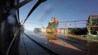 Offshore lobster fishing  Gulf of Maine quotWreaking Bloody Havokquot Commercial Fisherman joelwoodsnet [upl. by Lanita652]