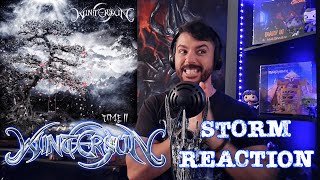 Wintersun  Storm First Reaction Time II album [upl. by Joacimah95]