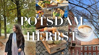 HERBSTWOCHENENDE in POTSDAM ☕️🧦  Wochenmarkt Zimtschnecken amp cozy vibes  vlog [upl. by Paxton422]