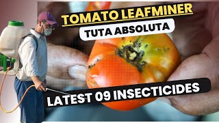 Effective Control of Tomato Leafminer Tuta absoluta  Latest Insecticides amp Management Strategies [upl. by Eleon]