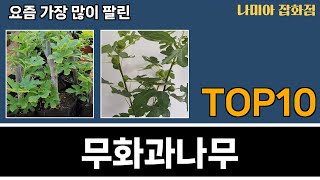 가장 많이 팔린 무화과나무 추천 Top10 [upl. by Gunn]