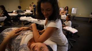 Advanced Neuromuscular Massage Therapy School [upl. by Eelano686]