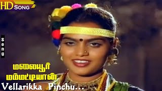 Vellarikka Pinchu HD  Gangai Amaran  SPSailaja  Malaiyoor Mambattiyan  Tamil Hit Songs [upl. by Gayner]