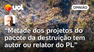 PL de Bolsonaro e PP de Lira comandam pacote da destruição ambiental no Congresso  Toledo [upl. by Amlez811]