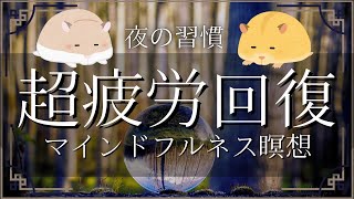 【瞑想 寝る前 10分】疲れが全て消え去る超疲労回復瞑想 [upl. by Anerbes]