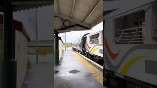 TranzAlpine Train in South New Zealand [upl. by Yancey]