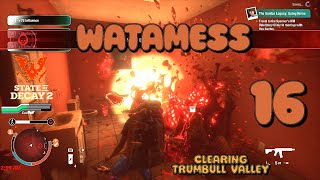 CLEARING TRUMBULL VALLEY WATAMESS EPISODE 16 [upl. by Branca]