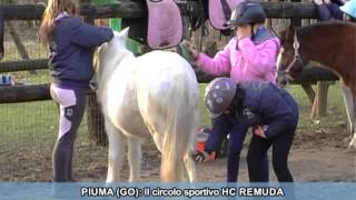 SPECIALE BIMBI A CAVALLO A GORIZIA [upl. by Penny]