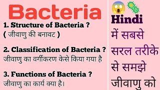 Bacteria Structure Classification Functions  हिंदी  जीवाणु का वर्गीकरण और कार्य हिंदी में [upl. by Amsirac395]