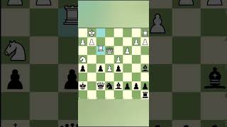 Brilliant King Save 🤫 chess chessgame viralvideo [upl. by Elleral]