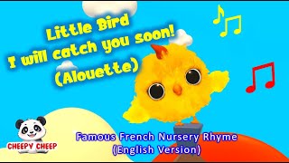 Little Bird Sweet Little Bird Alouette  Classic Nursery Rhyme for Kids  Cheepy Cheep [upl. by Ralston]