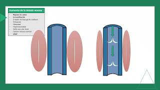 tromboembolismo pulmonar FISIOPATOLOGIA parte 1 [upl. by Arst]