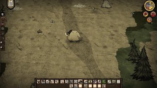 Beefalo baby got nuked by meteor [upl. by Koval]