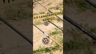 quotFiyatPerformans Canavarı 3 LRF Kamışıquot fishing carpfishing lrf youtubeshortsfishingtips [upl. by Alesi697]