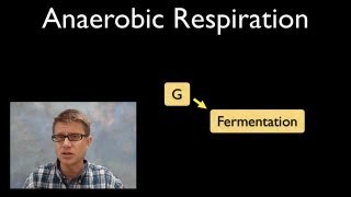 Anaerobic Respiration [upl. by Stanley]