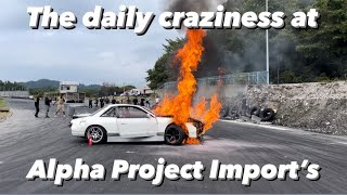 The Daily Life at Alpha Project Imports [upl. by Healy213]