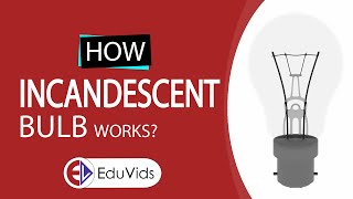 How Incandescent bulb works  EduVids  Educational Videos [upl. by Turtle]