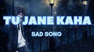 Tu Jane Kaha Sad Song 🥹 sad sadsong newsong newsongsad youtube youtubevideo viralvideo music [upl. by Anora]