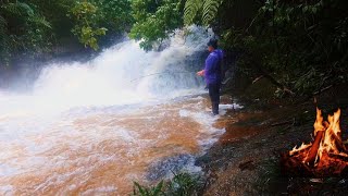 3 Days SOLO SURVIVAL CAMPING In RAIN Catch and Cook FISHING Bushcraft Shelters Winter Camp [upl. by Chiaki]