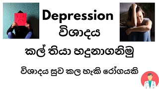 වීශාදය තත්වය කල් තබා හදුනාගමු  How to identify Depression early [upl. by Nyral679]