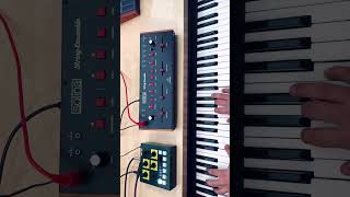 How does the Behringer Solina sound 🎹behringer synth shorts [upl. by Arlyn854]