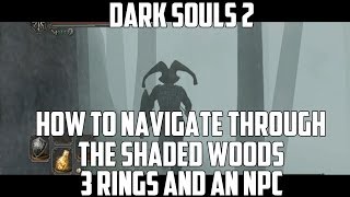 How To Navigate Through The Shaded Woods in Dark Souls 2 [upl. by Anaiek]