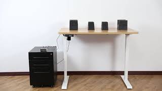 How Durable Is FlexiSpot Standing Desk Frames [upl. by Airebma]