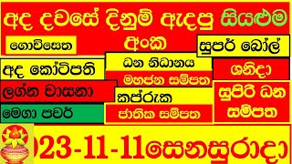 Lottery Result DLB NLB ලොතරය් දිනුම් අංක 20231111 Lottery Result Sri Lanka lotharai dinum [upl. by Aitnecserc]