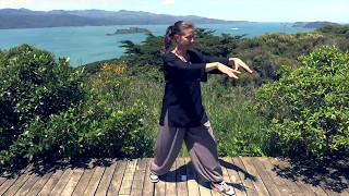 Tai Chi 5 Minutes a Day Module 01  Easy for Beginners  the Wave and Embracing the Moon [upl. by Adnorrahs]